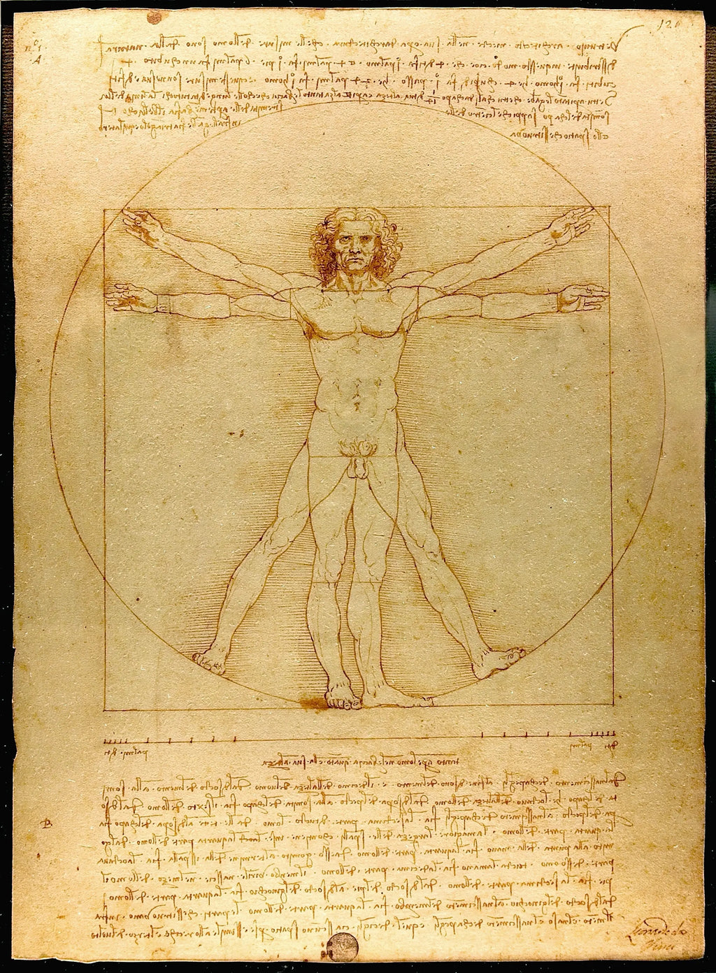 Men's Vitruvian Man Pendant Necklace - Salitaire jewellery