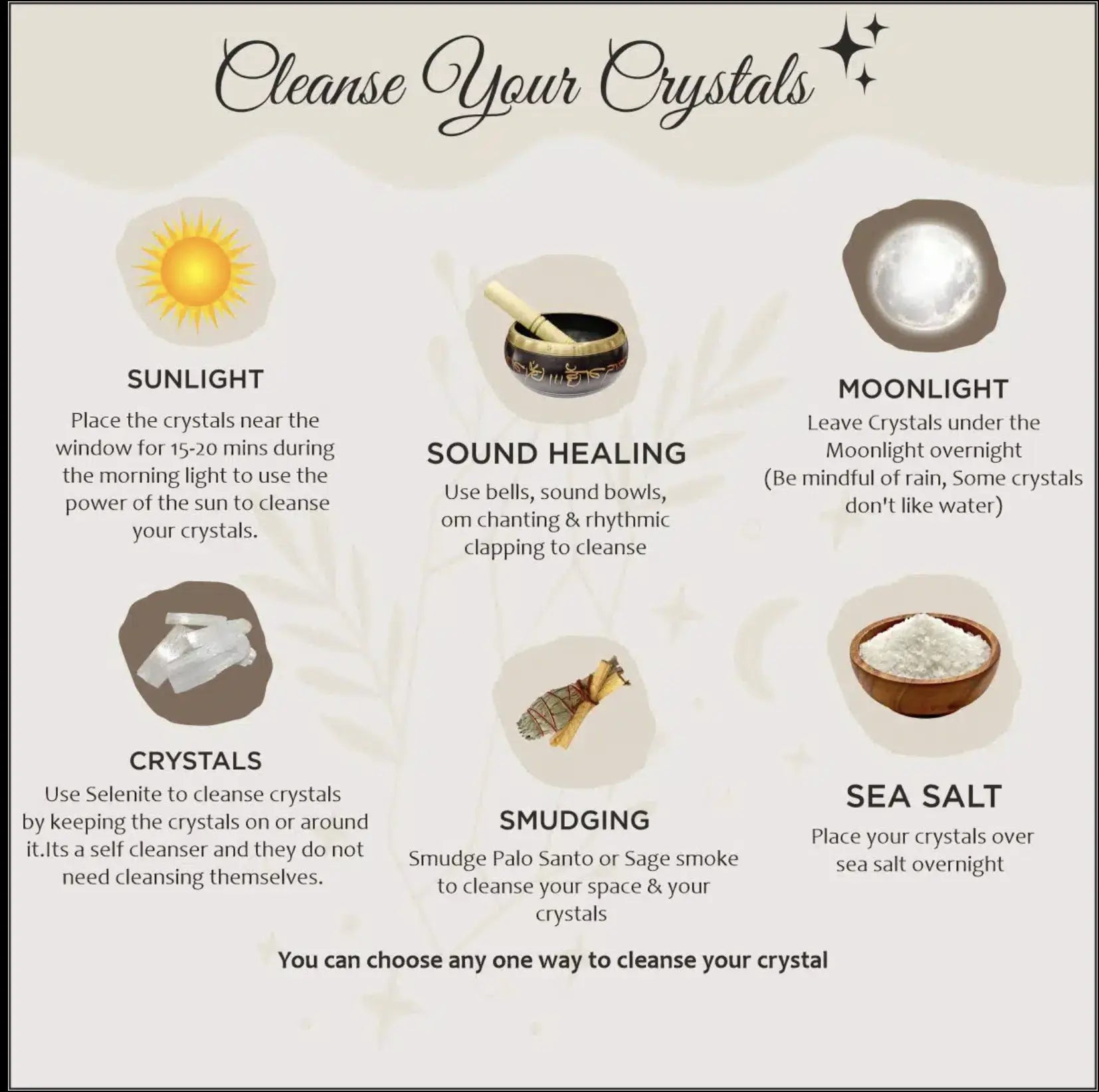 Money Magnet Link Bracelet